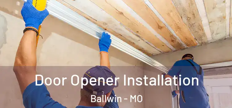  Door Opener Installation Ballwin - MO