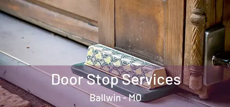 Door Stop Services Ballwin - MO