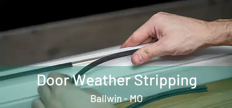  Door Weather Stripping Ballwin - MO