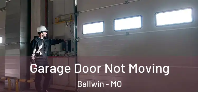  Garage Door Not Moving Ballwin - MO