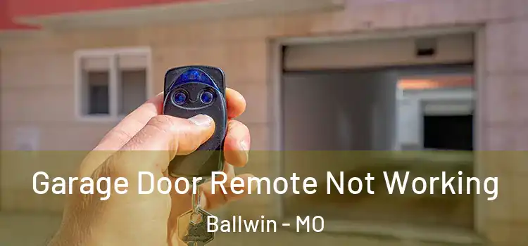  Garage Door Remote Not Working Ballwin - MO