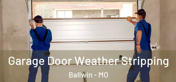  Garage Door Weather Stripping Ballwin - MO