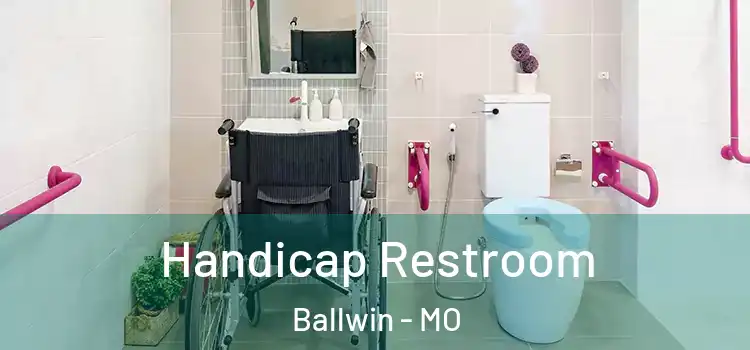  Handicap Restroom Ballwin - MO