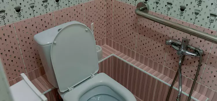 Meeting Diverse Needs With Accessible Restroom Solutions in Ballwin, MO