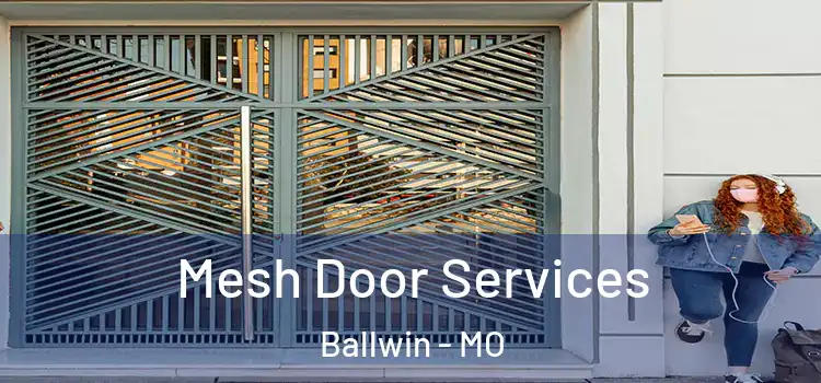 Mesh Door Services Ballwin - MO