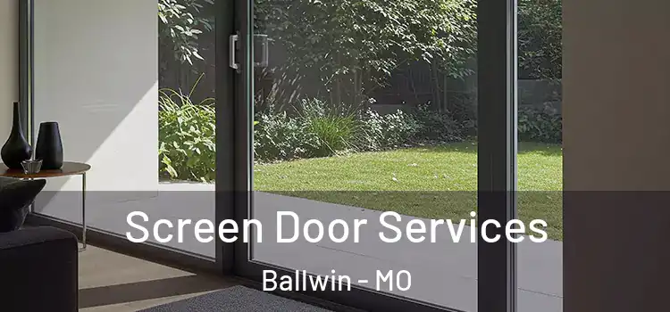 Screen Door Services Ballwin - MO